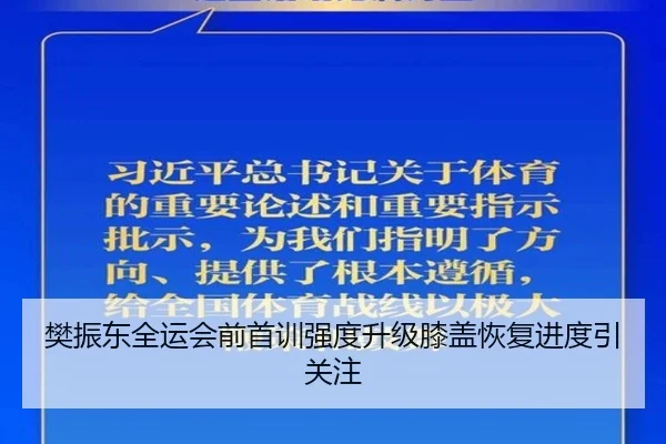 樊振东全运会前首训强度升级膝盖恢复进度引关注